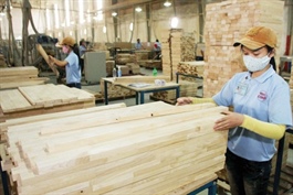 Wood industry eyes positive signals in early 2025