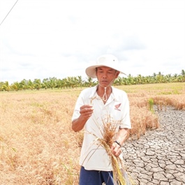 Prime Minister urges actions as salinization begins in Mekong Delta