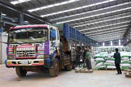 Cambodian journalists learn about Vietnamese company’s hi-tech agricultural complex