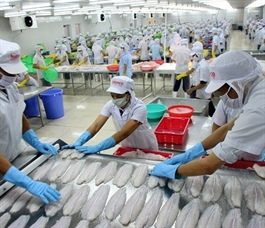 Vietnamese agribusinesses find opportunity in global trade uncertainty