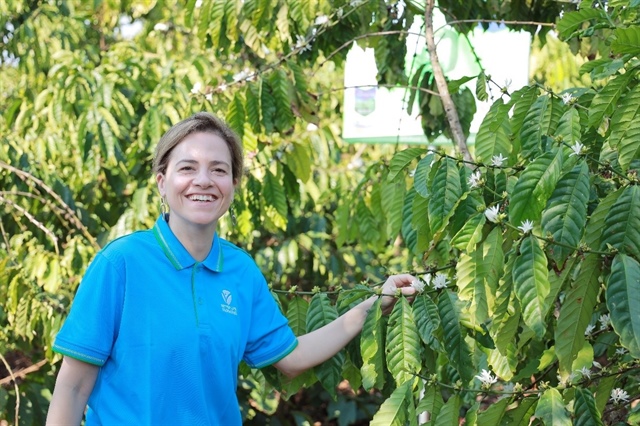 Bayer helps small-hold farmers fight climate change impacts