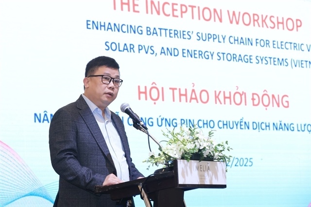 Việt Nam needs to be self-sufficient in battery production: experts