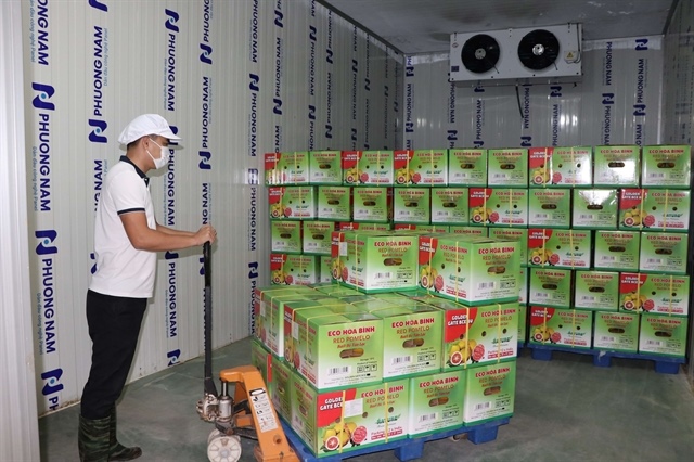 Việt Nam urges implementation of EU food safety regulations