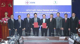 EVN, VRG collaborate to develop new energy sources