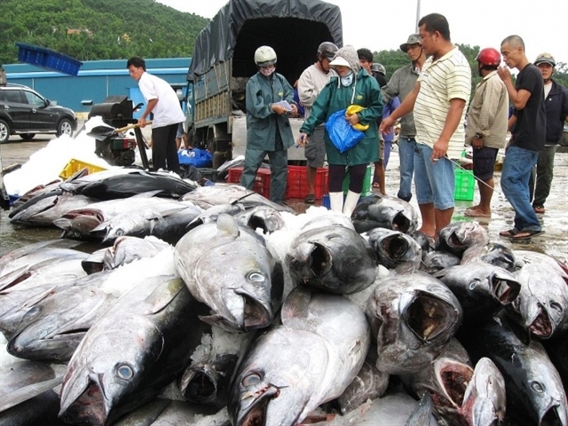 New challenges for Vietnamese tuna exports