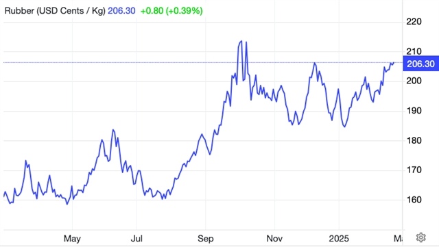 Higher rubber prices fuel stock market gains