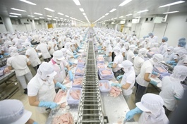 Bình Thuận strives to attract investors to its industrial parks