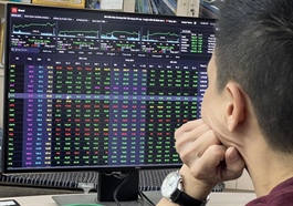 Stock market strives to rise despite strong foreign selling