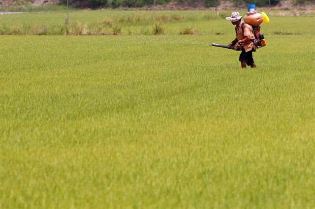 ​Thailand seeks cooperation with India, Vietnam to support falling rice prices