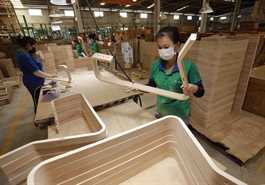 Việt Nam prevents mislabeling of plywood origin for US exports