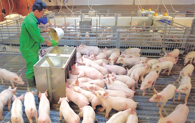 Supply and purchase power shifts adding costs to pork