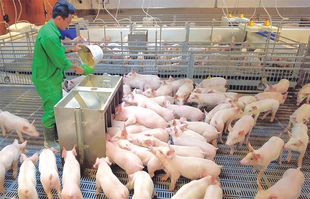 Supply and purchase power shifts adding costs to pork