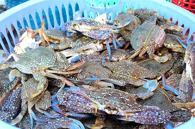 Vietnam earned over $60 million from the crab export