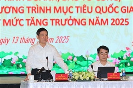 Deputy PM Hồ Đức Phớc urges three provinces to boost investment, export and consumption for economic growth