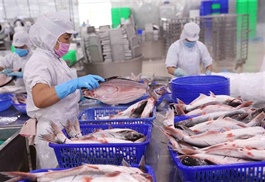 Việt Nam becomes Brazil’s second largest seafood supplier