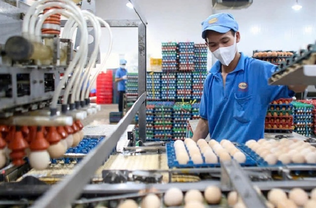 ​Vietnamese firms find it hard to export eggs to US amid latter’s shortage