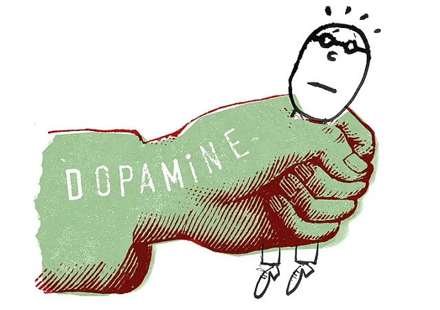 Dopamine và Margin: Vì sao nhà đầu tư dùng đòn bẩy dễ nghiện thị trường?