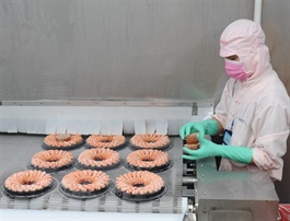 Việt Nam’s shrimp exports maintain steady growth