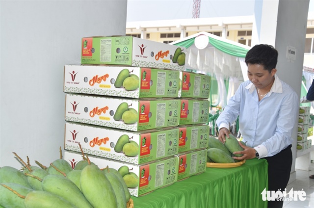 ​Vietnam’s Tien Giang ships first green mangoes to US