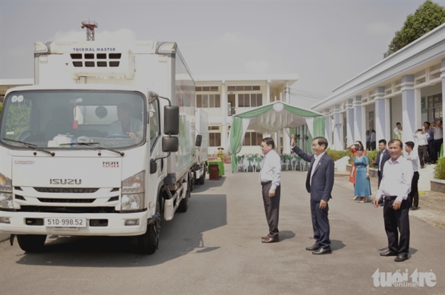 Trucks carrying Tien Giang Province’s green mangoes start their journey to the U.S.. Photo: Hoai Thuong / Tuoi Tre