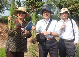 World Bank pledges continued support for Việt Nam’s high-quality, low-emission rice project