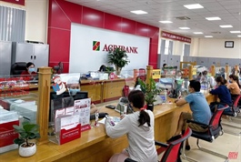 Agribank rao bán rừng keo tai tượng, trường cao đẳng, tàu nhà hàng để thu hồi nợ