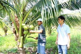 Northern Europe is potential market for Vietnamese organic products