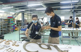 Leaders vow to soothe FIE project headaches