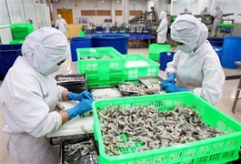 Việt Nam’s seafood exports surge to $2.45 billion in Q1