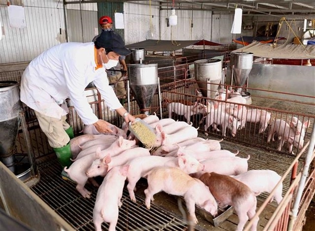 VN ranks fourth in pork consumption worldwide