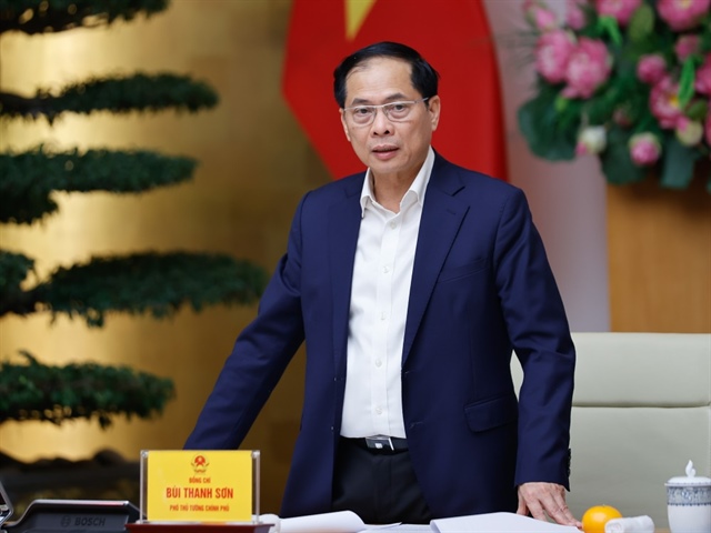 Phó Thủ tướng, Bộ trưởng Bộ Ngoại giao Bùi Thanh Sơn phát biểu tại cuộc họp. Ảnh: VGP