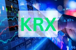 SNZ: Quy chế hoạt động của Hội đồng quản trị