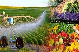 Vi phạm quy định công bố thông tin liên quan đến trái phiếu, Cajimex bị xử phạt