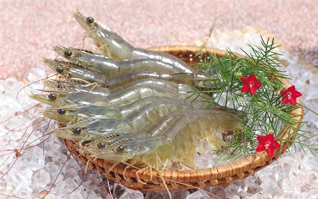 Xuất khẩu tôm sang EU trong quý I-2025 tăng 33%, đạt hơn 107 triệu USD. Ảnh minh hoạ: IT