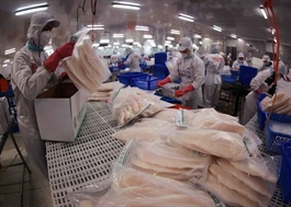 Tra fish exports on track reach close to $2 billion in 2025