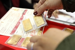 SBV reports to National Assembly on record-high gold price disparity