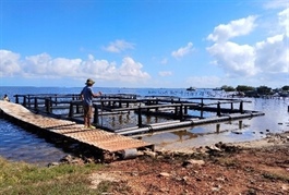 Việt Nam, Cuba expand high-tech shrimp farming cooperation