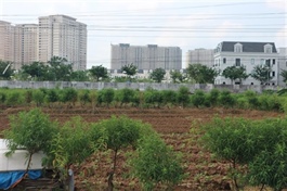 Legal clarity needed to ease investment procedures: VCCI
