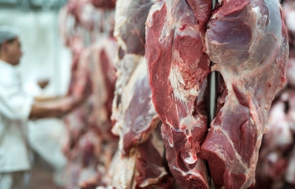 Financial backing rises in processed meat segment