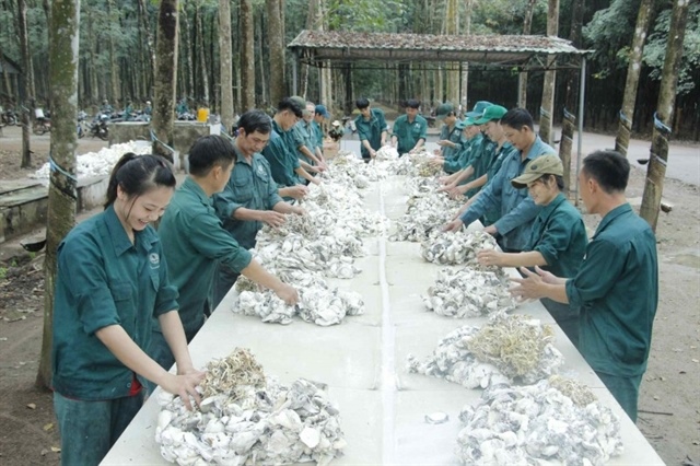 Blue-chip stocks lead strong rebound as VN-Index nears 1,270 points