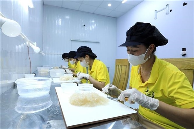 Việt Nam expands bird’s nest trade with China, eyes market growth