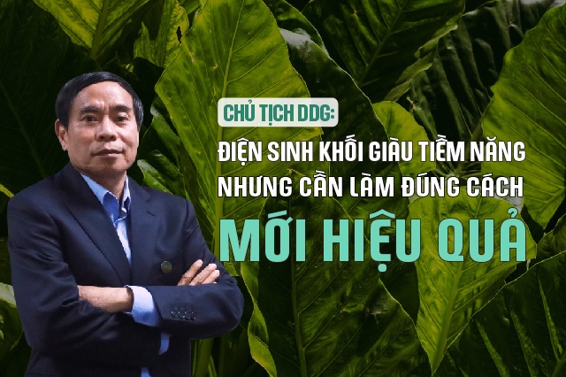 Chủ tịch DDG: Điện sinh khối giàu tiềm năng, nhưng cần làm đúng cách mới hiệu quả