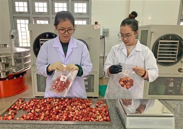 Agriculture minister calls for export reform, supports US farm imports