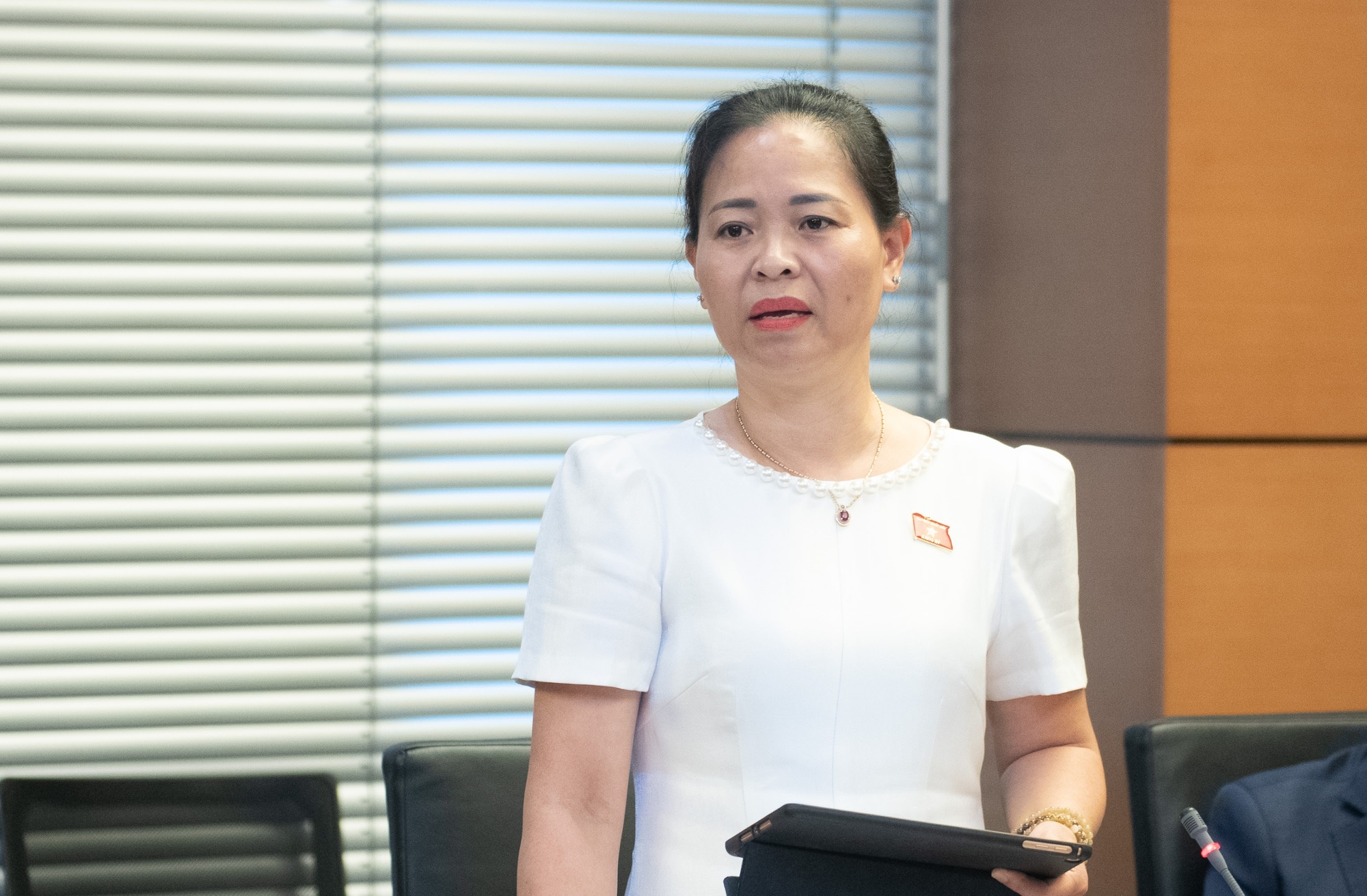 Portrait of Delegate Nguyen Thi Thu Dung