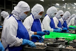 Ministry urges data proving compliance with US standards