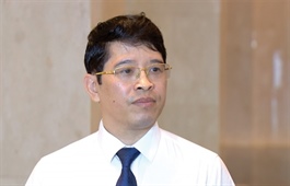 Policies for a robust greener transition