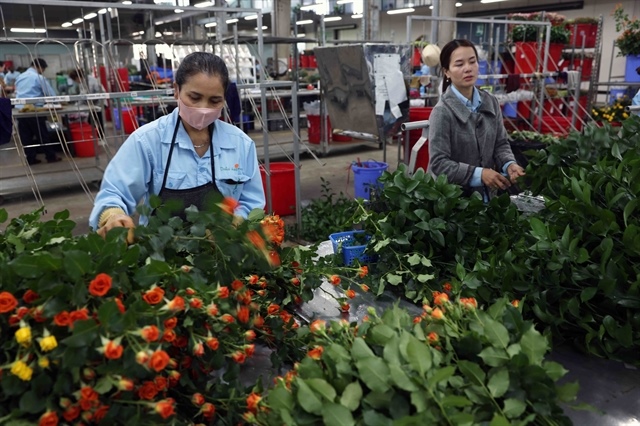 Việt Nam's flower export turnover surpasses $100 million mark