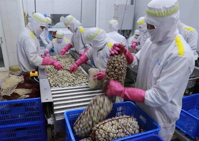 Việt Nam’s mollusc exports to China soar in Q1 2025
