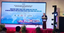 Navigating trade challenges for Mekong Delta enterprises