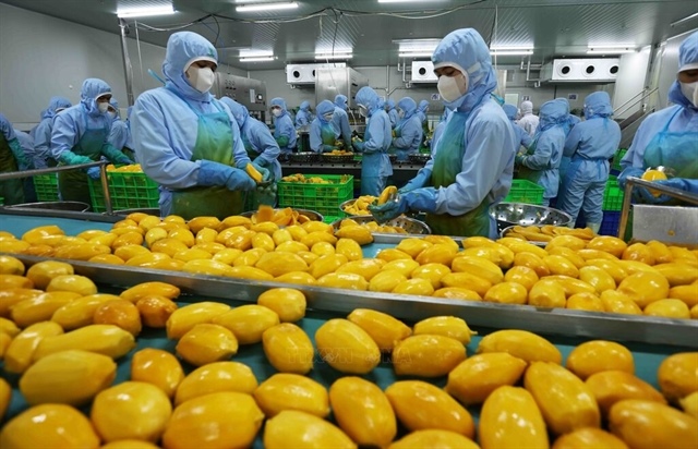 Exporters cautiously optimistic, prepare for US tariff impacts